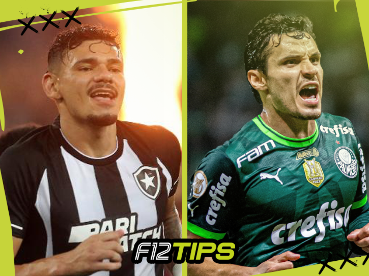 Botafogo x Palmeiras: informações, estatísticas e curiosidades – Palmeiras