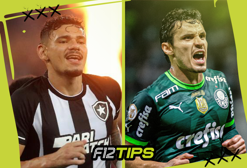 Botafogo x Palmeiras: Confira onde assistir ao jogo do Botafogo e Palmeiras  ao vivo com imagens; veja horário e escalações