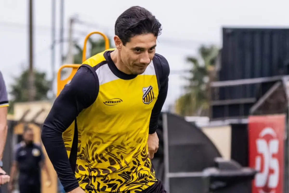 Botafogo-SP x Novorizontino ao vivo (06/07): onde assistir, escalações e palpites