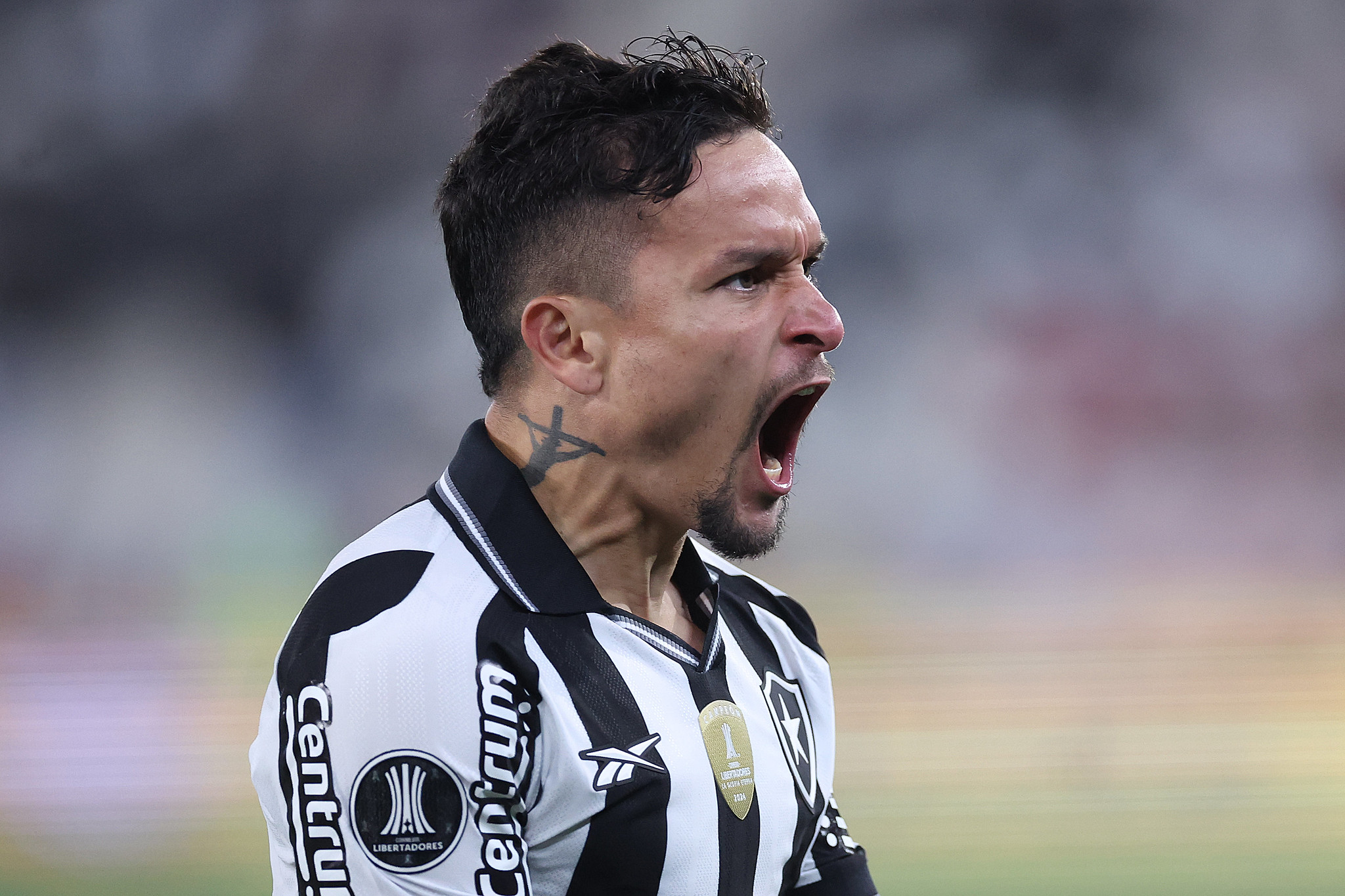 Botafogo x Palmeiras ao vivo (17/08): onde assistir, escalações e palpites