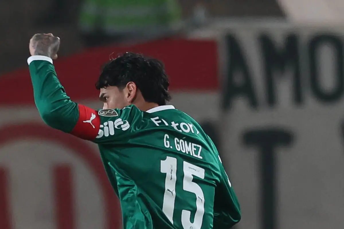 Palmeiras x Sport ao vivo (25/08): onde assistir, escalações e palpites