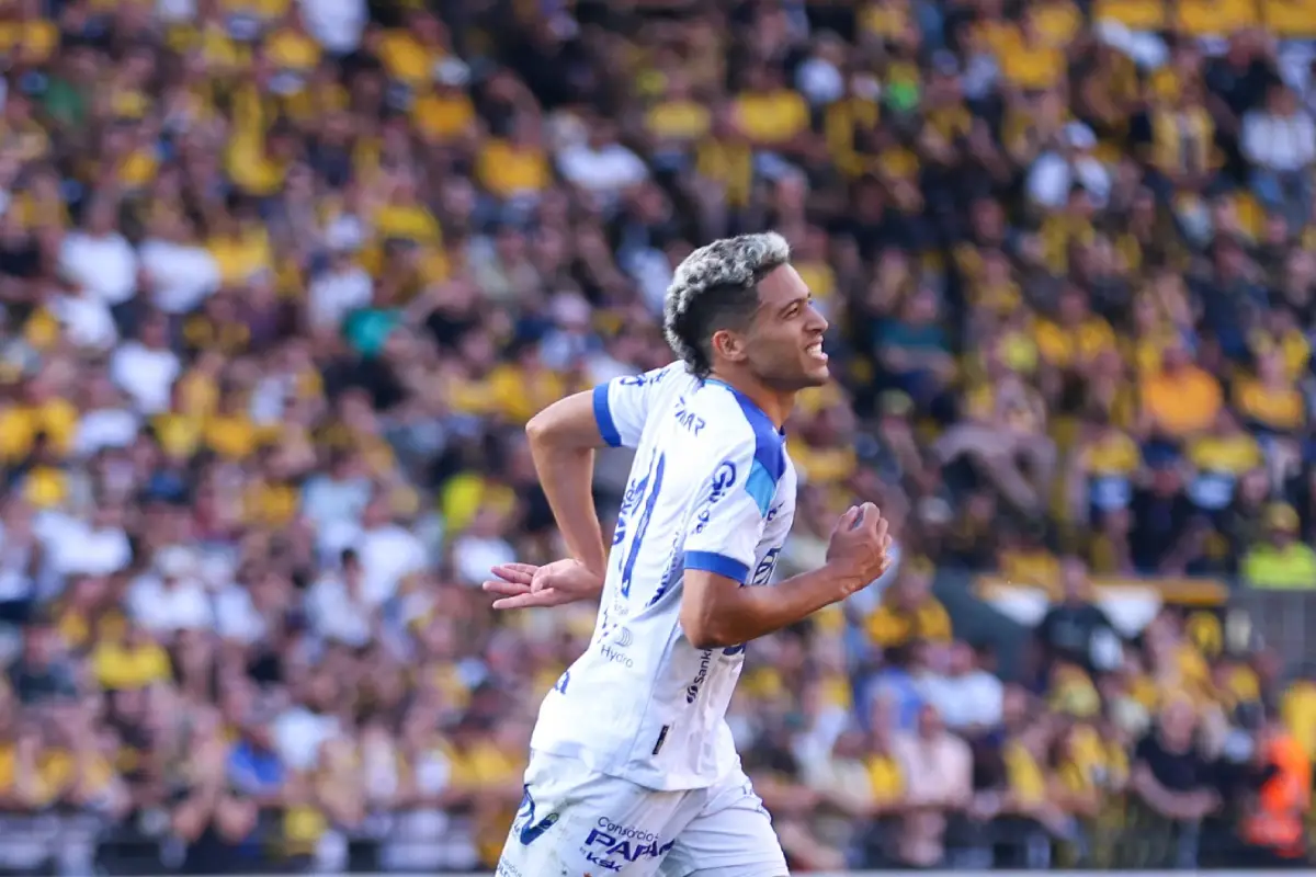 Paysandu x Amazonas: Palpite da Série B do Brasileirão – 14/11/25